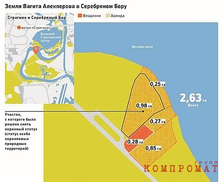 2015 г. Публичная кадастровая карта. Департамент городского имущества